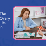 What Is The Normal Ovary Size And Its Impact On Fertility